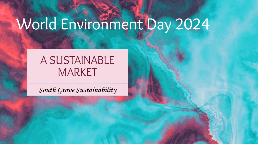 link to World Environment Day 2024 Presentation