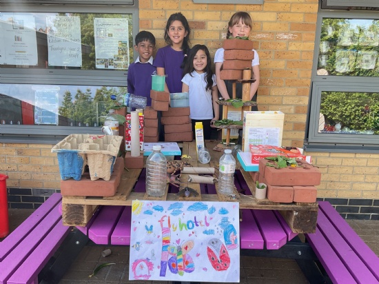 Year 2 - Explore Bugs and Art